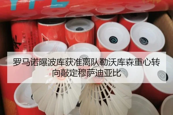 罗马诺曝波库获准离队勒沃库森重心转向敲定穆萨迪亚比